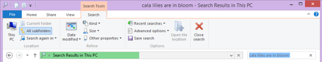 Advanced Search Options